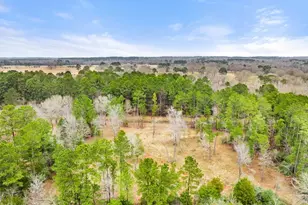 268 Co Rd 3607, Bullard, TX 75757 - Photo 20