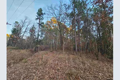 9557 Fm 726, Gilmer, TX 75644 - Photo 2