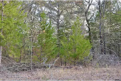 121 Private Road 6238, Mineola, TX 75773 - Photo 6