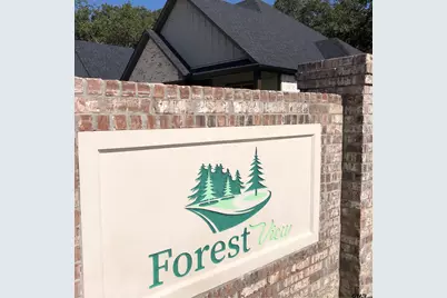 113 Private Road 6238, Mineola, TX 75773 - Photo 1