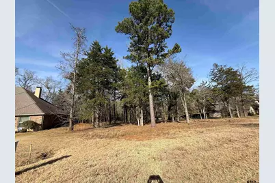 290 Oak Grove Way, Bullard, TX 75757 - Photo 4