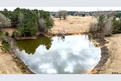 12987 C R 452, Lindale, TX 75771 - Photo 10