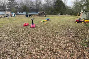 1023 N Spring, Grand Saline, TX 75140 - Photo 28