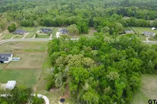 21027 Gatlinburg Rd, Bullard, TX 75757 - Photo 4