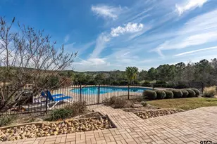 120 Lookout Ct, Hallsville, TX 75650 - Photo 42