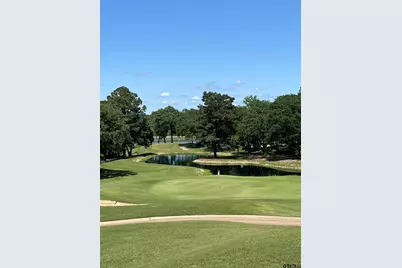 4212 Hogan Drive, Tyler, TX 75706 - Photo 8