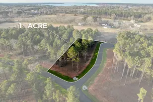 0 Oak River (Lot 25 & B9), Frankston, TX 75763 - Photo 1