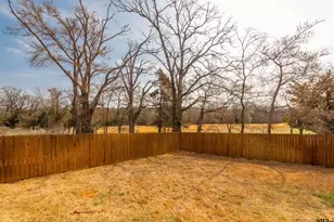 332 Amanda Ave, Bullard, TX 75757 - Photo 38