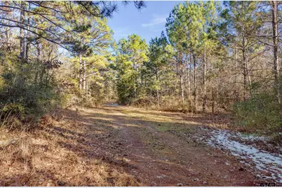 Tbd County Road 2126, Rusk, TX 75785 - Photo 12