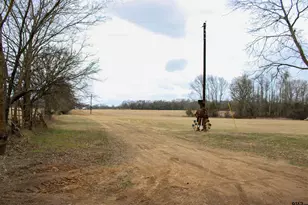 1181 Co Rd 4878, Winnsboro, TX 75494 - Photo 1