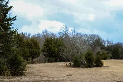 1181 County Road 4878, Winnsboro, TX 75494 - Photo 24