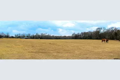 1181 County Road 4878, Winnsboro, TX 75494 - Photo 26