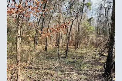 0 Fm 49, Mineola, TX 75773 - Photo 6