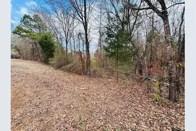 0 Fm 49, Mineola, TX 75773 - Photo 4