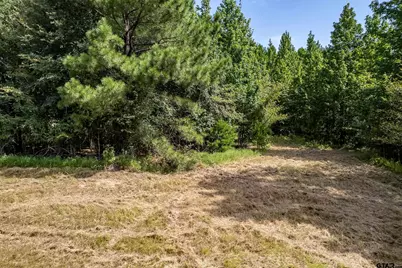 Tbd Cr 2115, Troup, TX 75789 - Photo 4