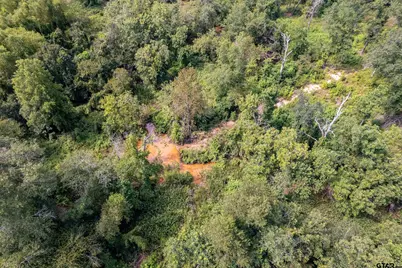 Tbd Cr 2115, Troup, TX 75789 - Photo 30