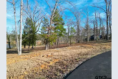 Lt 27 Boulder Ct., Hallsville, TX 75650 - Photo 8