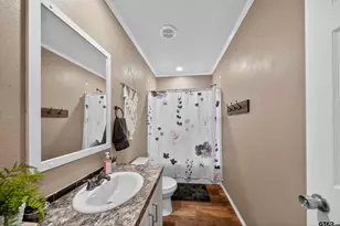 13147 Fm 346 W, Bullard, TX 75757 - Photo 28