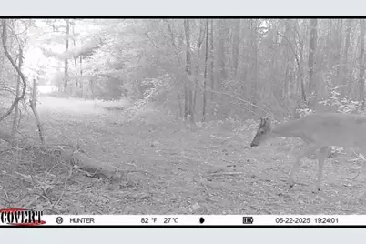 17584 Fm 1252, Winona, TX 75792 - Photo 10