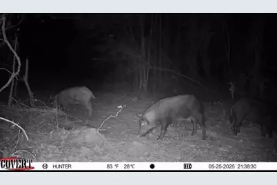 17584 Fm 1252, Winona, TX 75792 - Photo 12