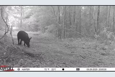 17584 Fm 1252, Winona, TX 75792 - Photo 16