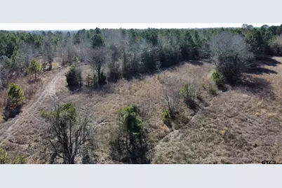 17584 Fm 1252, Winona, TX 75792 - Photo 18