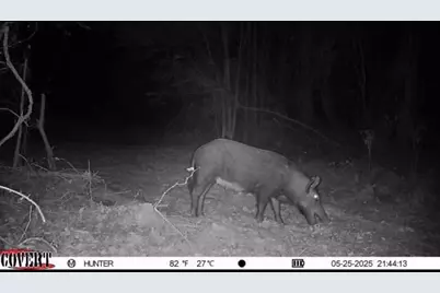 17584 Fm 1252, Winona, TX 75792 - Photo 14