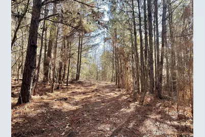 17584 Fm 1252, Winona, TX 75792 - Photo 1