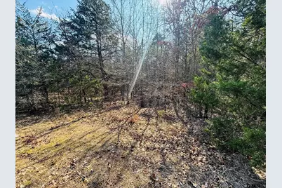 230 Rs County Road 4252, Point, TX 75472 - Photo 10
