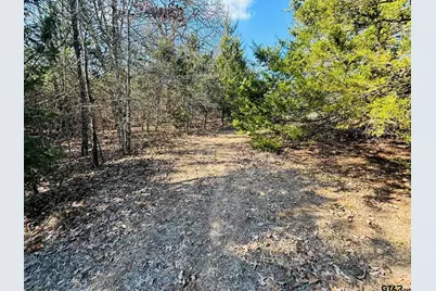 230 Rs County Road 4252, Point, TX 75472 - Photo 4