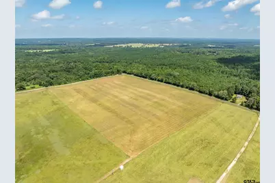 1420 Acr 379, Palestine, TX 75801 - Photo 4