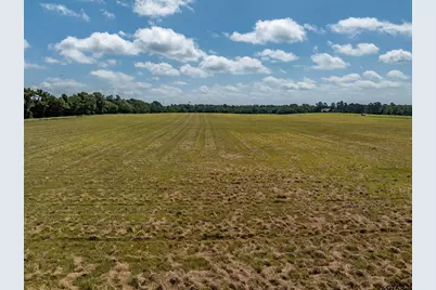 1420 Acr 379, Palestine, TX 75801 - Photo 6