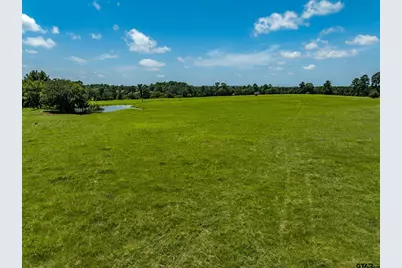 592 Acr 379, Palestine, TX 75801 - Photo 6