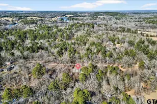 237 Co Rd 3871, Mineola, TX 75773 - Photo 22