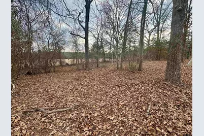 198 Co Rd 4810, Ben Wheeler, TX 75754 - Photo 8