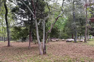 Lot 5 Lakeview Dr, Bullard, TX 75757 - Photo 4