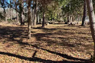 Lot 5 Lakeview Dr, Bullard, TX 75757 - Photo 6