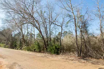 Tbd Vz Cr 4810, Ben Wheeler, TX 75754 - Photo 6