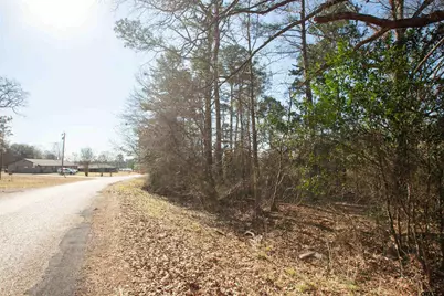 Tbd Vz Cr 4810, Ben Wheeler, TX 75754 - Photo 2