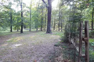 261 Pr 8572, Winnsboro, TX 75494 - Photo 38