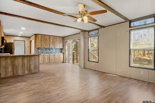 1814 County Rd 386 Lot 4, Tyler, TX 75708 - Photo 4