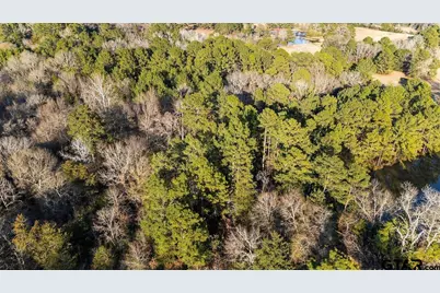 24939 State Highway 64 East, Overton, TX 75684 - Photo 12