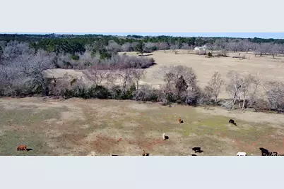 0 Hwy. 155 & Cr 435, Frankston, TX 75763 - Photo 34
