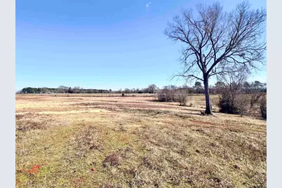 0 Hwy. 155 & Cr 435, Frankston, TX 75763 - Photo 16
