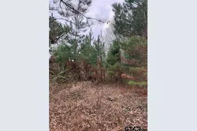 Tbd Fm 16, Lindale, TX 75771 - Photo 4