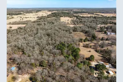 Tbd Vz County Road 4511, Ben Wheeler, TX 75754 - Photo 6