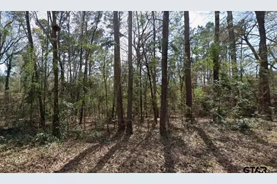 Tbd Ashwood Dr. #Lot 204, Gilmer, TX 75645 - Photo 1