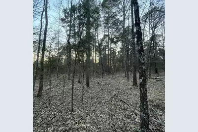 Tbd County Road 2182, Whitehouse, TX 75791 - Photo 8