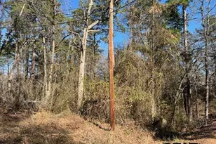 17323 Lakeview Dr, Flint, TX 75762 - Photo 42