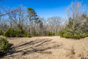 12095 Fm 317, Murchison, TX 75778 - Photo 28